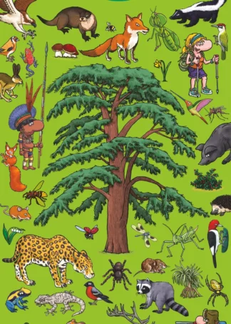 Busca y encuentra en los bosques y selvas