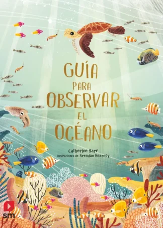 Guía para observar el océano