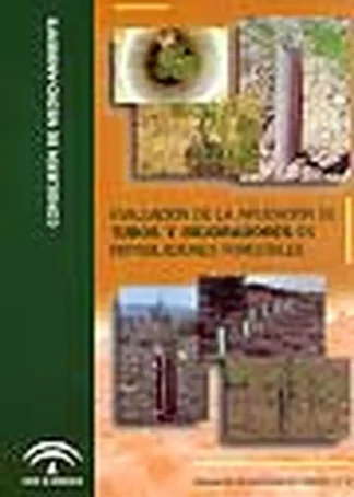 EVALUACION APLICACION TUBOS MEJORADORES